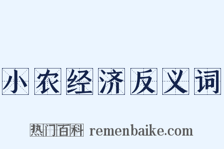 小农经济反义词是什么意思的图片